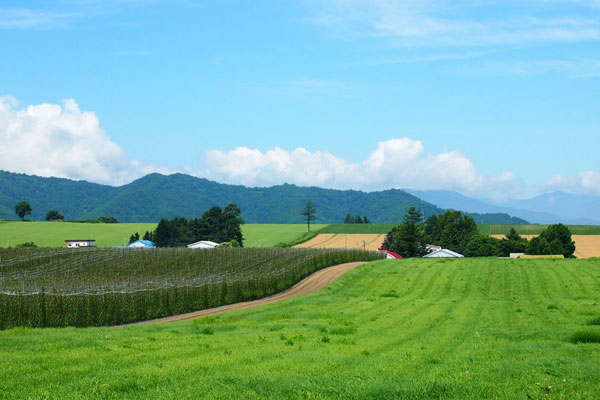 十勝の風景