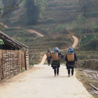 2013ベトナム縦断の旅vol.6～サパからトレッキングで少数民族の村を訪ねて～