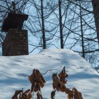 春近づく陽気に・・雪どけが進みます。屋根にエゾリス君の足あと?