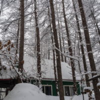 昨夜から今朝にかけ雪、昼から晴れ・・そして、ついに屋根から落雪!