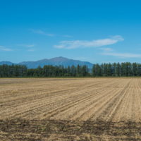 さわやかな秋晴れの・・中札内村の農村風景と日高山脈。