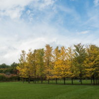 今季一番の冷え込み・・「美術村庭園」の紅葉が見事です。