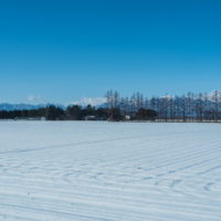 厳しい冷え込み、快晴、真っ白な雪原の後ろは日高山脈。