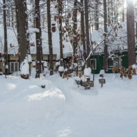 東京で大雪を降らせた低気圧が十勝にもやって来ました。