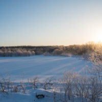 十勝の冬の幻想的な風景～さらべつの霧氷が見頃を迎えています～