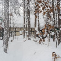 今年の2月は雪が多い?3日連続の大雪です。