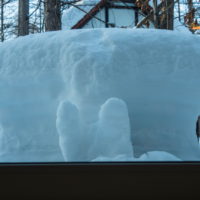 吹雪の後の晴天・・カフェの窓ぎわには”エゾリス君の耳”??