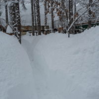 大雪です!中札内に来て11年、過去最高の積雪量になりました。