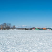 春の日差しが降り注ぐ畑・・でも雪どけはまだまだです。