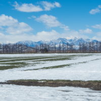 エゾリス君も感じる春の陽気・・みるみるうちに雪どけが進みます。