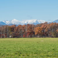 日高の山並み・・遅い冠雪。カラマツの紅葉・・見頃です。