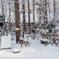 ついに来ました”雪景色”あっという間に”冬”ですね!