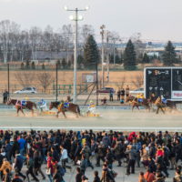 ”帯広競馬場”盛り上がっていました!「第51回ばんえい記念」