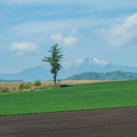 5月お気に入りの風景～残雪の日高山脈と新緑の丘陵地～