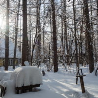 今季最大の積雪量に・・結局、冬に降る雪の量は同じ？