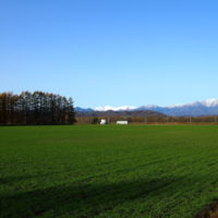 私の好きな・・「中札内村・11月の農村風景」