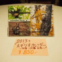 「2013えぞりすカレンダー～Yuka Sato~」販売中です。