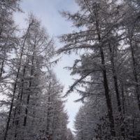 遅い初雪から・・いきなり真冬の中札内村。