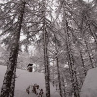 今年は雪が多いかな？昨夜から30センチ以上の積雪です。