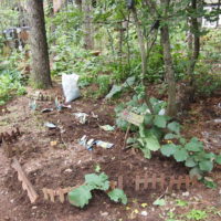 新しい庭を造って・・春に咲く球根を植え始めました。