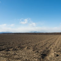 １２月後半なのに・・中札内村は雪の無い農村風景です！