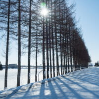 冬の十勝らしい快晴の農村風景と日高山脈の眺望!