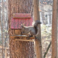 暖かい所から北海道へ戻って来たけど、先日の暴風で宿の周りは・・!