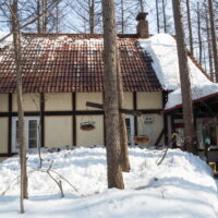 春を思わせる陽気で、ついに屋根の雪が落ちました。