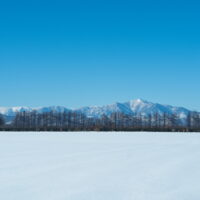 穏やかな大晦日!お陰様で今年も無事に年が越せそうですね!