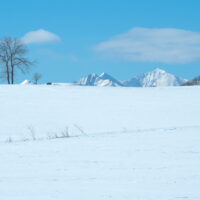 厳寒期の中札内村・雪の丘から頭を出す”日高山脈”