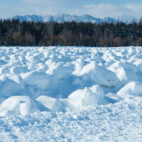 雪を掘り起こした畑が・・ちょっと”アート”っぽくないですか?