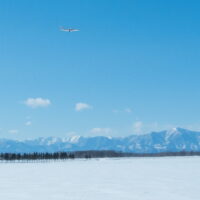 JALのカレンダー2月は帯広空港ですが・・どこで撮ったのかな?