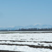 春のホカポカ陽気で、雪どけが進む中札内村の農村風景。