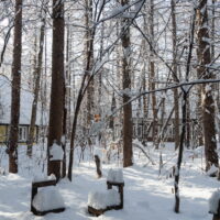 昨夜ひと晩で40センチ以上の積雪。いきなり冬に逆戻り?