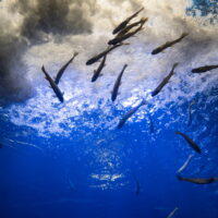 秋の休日、温根湯温泉と北の大地の水族館へドライブ(1)