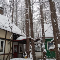 中札内村は雪降る大晦日になりました。良いお年を・・!
