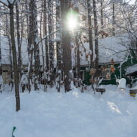 久し振りの大雪!中札内村は半日で50cm以上の積雪に・・