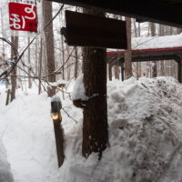 まだまだ雪降る3月、屋根からの落雪にエゾリス君ビックリ!