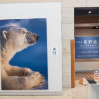 「悠久の時を旅する・星野道夫」と「日本ねこ歩き・岩合光昭」