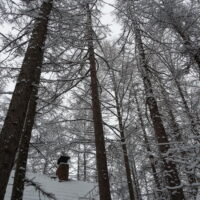 今年は雪が少ない中札内村・・今季最大の積雪になりました!