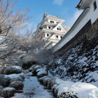 2025新年の旅28「海津・岐阜・美濃・郡上市」その4～小京都・郡上八幡へ～