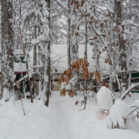 この冬は雪が少ないと思ったら、やっぱり来た約1mのドカ雪!