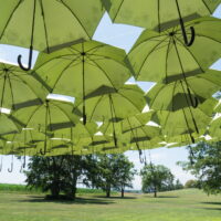 ハマナシの咲く夏の「六花の森」を散策してみました。
