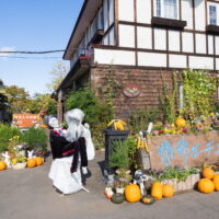 十勝の北海道ガーデン街道巡り・・5か所目は紫竹ガーデン!