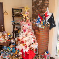 今年はホワイトクリスマス、エゾリス君にリス小屋プレゼント!