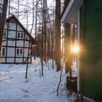 エゾリス君もやって来る穏やかな大晦日!良いお年を・・!