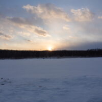 今年の元旦は初日の出、初霧氷、初丹頂と初エゾリス!