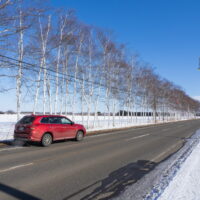 中札内村の白樺並木を通って選挙投票の帰りに食堂このみとナウマン温泉へ。