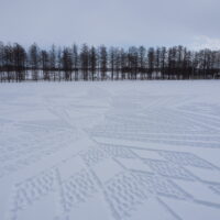 ２/１１～１４開催の「スノーアートビレッジなかさつない2026」に行ってみました。