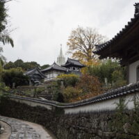 2025長崎・軍艦島・ハウステンボス・黒島天主堂・平戸と嬉野温泉（５）